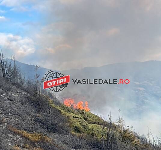 VIDEO: Incendiu de vegetaţie pe Valea Fătului, în apropiere de Vf. Toroioaga