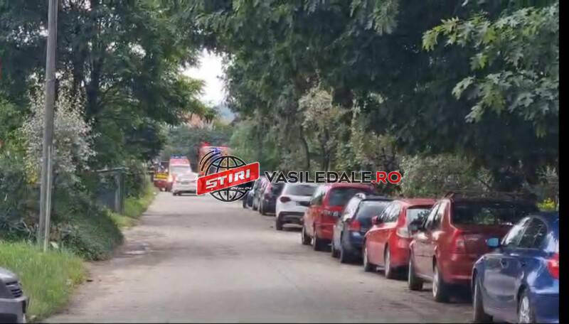 441940579_356103747158582_4713569014809220691_n