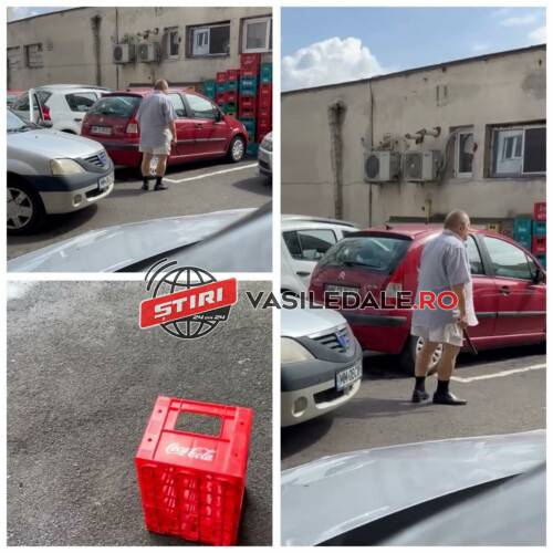 EXCLUSIV VIDEO: CANICULA LE SUCEȘTE MINȚILE – Un șofer din Baia Mare a ieșit cu bastonul să își deblocheze accesul la bloc