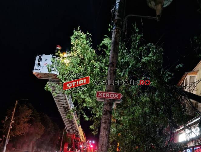 WhatsApp Image 2024-06-11 at 13.49.34 (2)