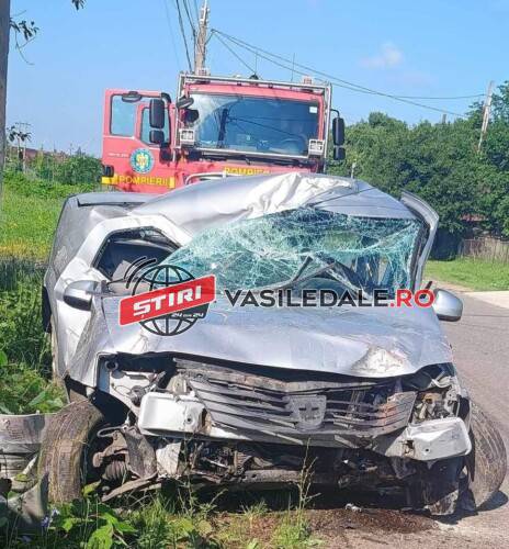 WhatsApp-Image-2024-06-17-at-09.36.20