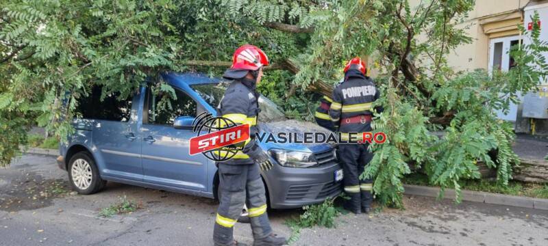EXCLUSIV VIDEO: Copac căzut peste o maşină pe strada Gării