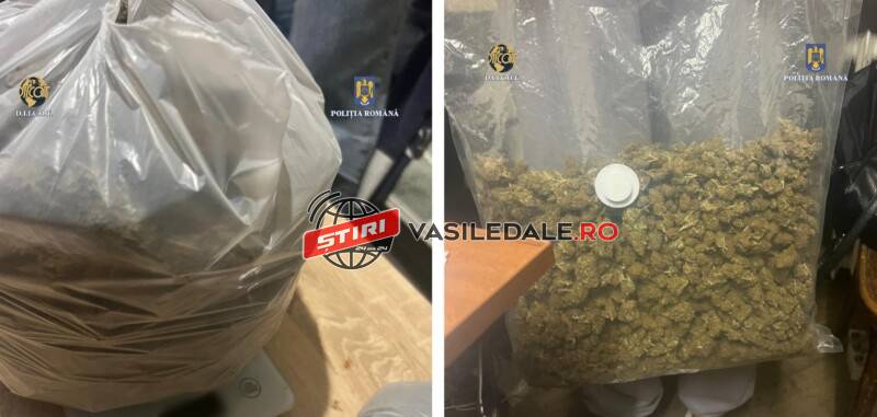 ac26afcf-7e24-41ba-ae3c-8ecf7332fb8b