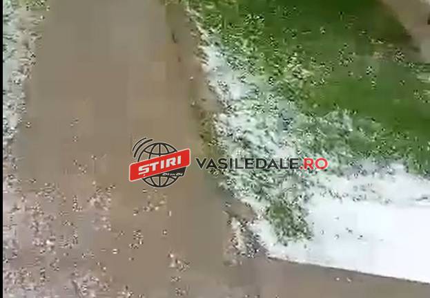 EXCLUSIV VIDEO: COD ROŞU DE FURTUNĂ în Maramureş. Copac cazut DN1C Satulung – Şomcuta Mare. Grindină pe Valea Ruscovei, inundații la Târgu Lăpuș (actualizare)