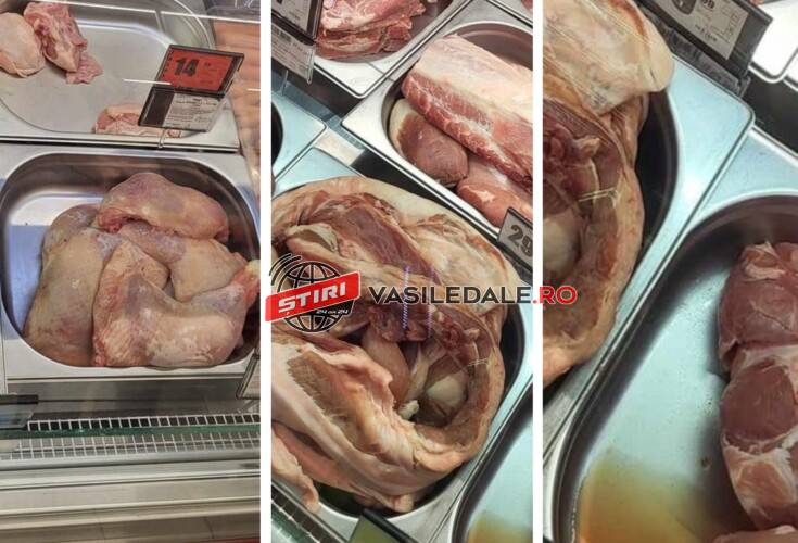 2ddb0ec1-932e-42e2-b517-72365a3ee793