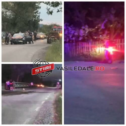 451134280_858023049049276_7953417240154974263_n