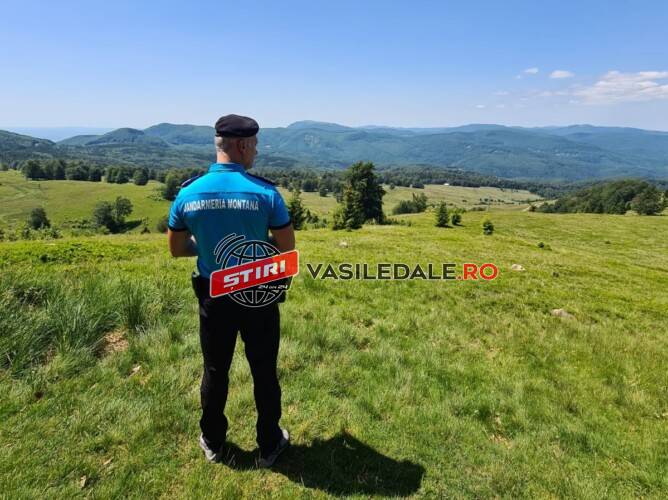 Recomandările jandarmilor montani. Cum procedăm în cazul întâlnirii cu ursul pe traseele montane?