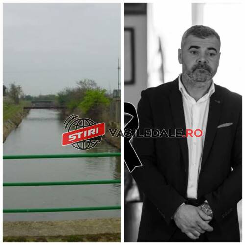 452619959_790766233139235_7969338603341906993_n