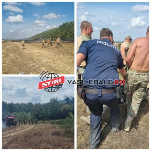 VIDEO: Soldat din Baia Mare rănit în poligonul militar Sâi după ce a izbucnit un incendiu de vegetație