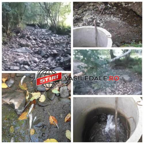 454556293_520085570434740_1360319566035985927_n