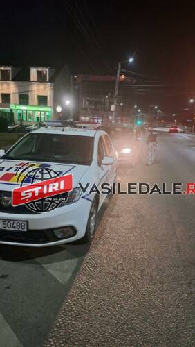 Polițiștii, luptătorii specializați în intervenție rapidă și câinii de serviciu au acționat pentru menținerea unui climat de ordine și siguranță în Borșa