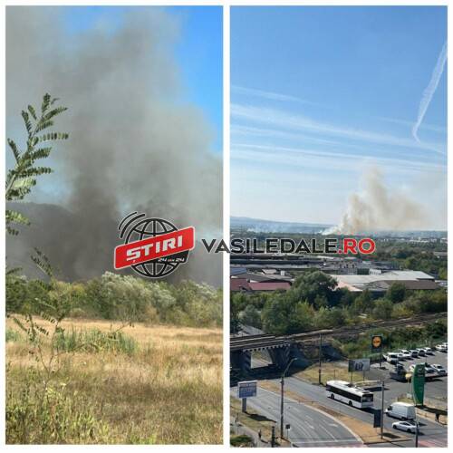 VIDEO: Incendiu violent pe malurile râului Săsar