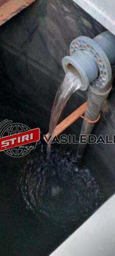 456753125_8119067704842564_6715902250342645897_n