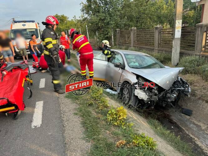 WhatsApp Image 2024-08-19 at 08.09.22