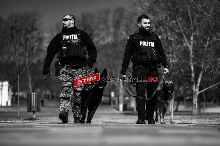 Sărbătoriții zilei la IPJ Maramureș: câinii polițiști