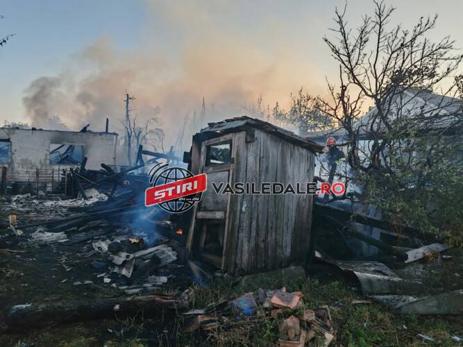 VIDEO: Incendiu de fond forestier la Ferneziu și la anexe gospodărești din Cetățele