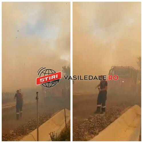 457744609_310351932133974_2975664258788207759_n