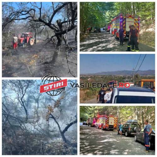 459139177_1471845316869583_1980650674311796403_n