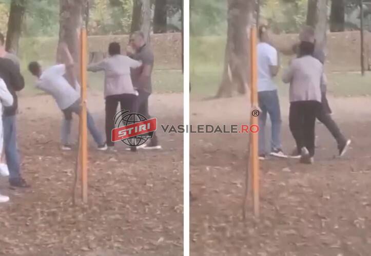 459424735_856645419549036_35240262453225313_n