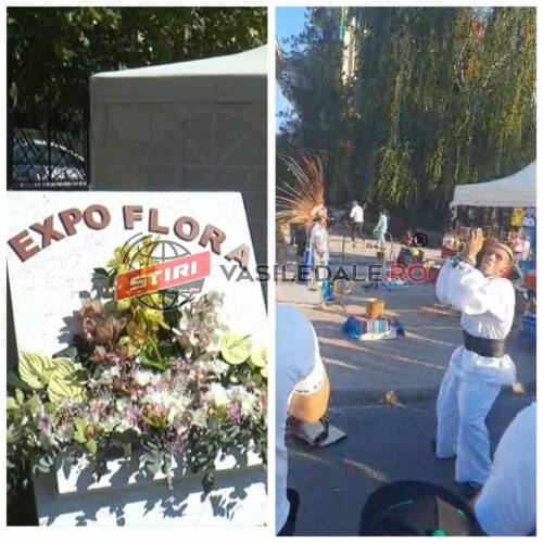EXPO FLORA BAIA MARE – O bătaie de joc la adresa exponanților. Puțini aveau habar unde se ține (VIDEO)