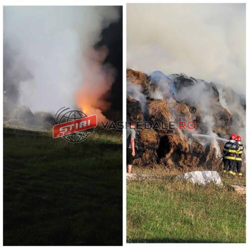 EXCLUSIV VIDEO: Zeci de tone de fân incendiate la Petrova. Pompierii luptă cu flăcările