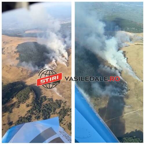 VIDEO: Incendiu de vegetație forestieră în zona montană Igniș, spre localitatea Desești – ACTUALIZARE