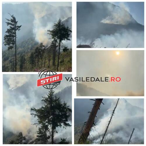 EXCLUSIV VIDEO: Ard Munții Maramureșului pe granița cu Ucraina (ACTUALIZARE)