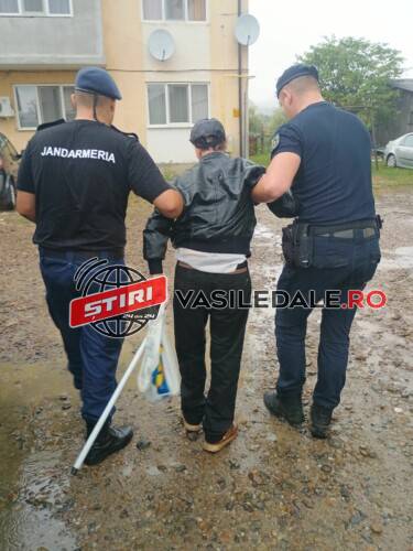 TÂRGU LĂPUȘ: Un bărbat de 70 de ani căzut în parc, ajutat de jandarmii lăpușeni