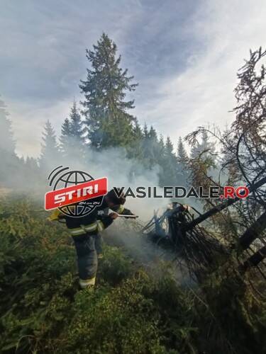 FOTO: Incendiu în Borșa, în zona lacului Măgura. Intervin 12 cadre militare ale ISU Maramureș