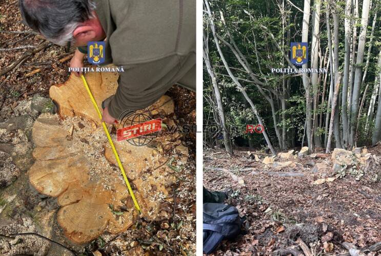 ACȚIUNE CU EFECTIVE MĂRITE PE LINIE SILVICĂ în Maramureș