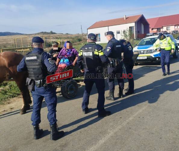 Acțiune în sistem integrat, cu efective mărite, a polițiștilor, în Vălenii Lăpușului