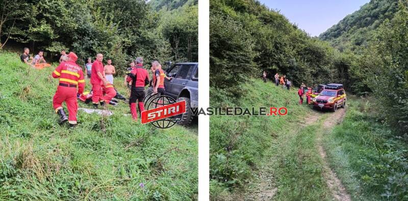 Tânăr din Ieud, atacat de o ursoaică în zona Ieud. Au fost solicitați salvamontiștii pentru coborârea sa
