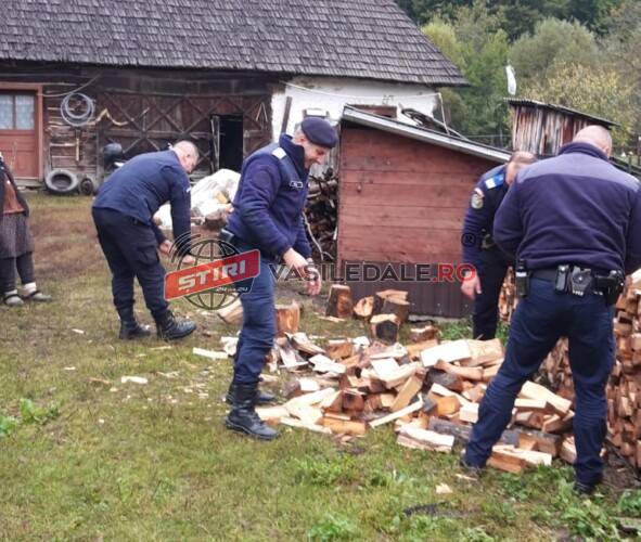 BINELE ESTE O ALEGERE, NU O MISIUNE!Jandarmii din Târgu Lăpuș, la crăpat de lemne