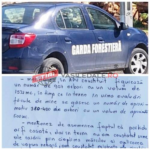 461587501_546827644395052_9159996108059582075_n