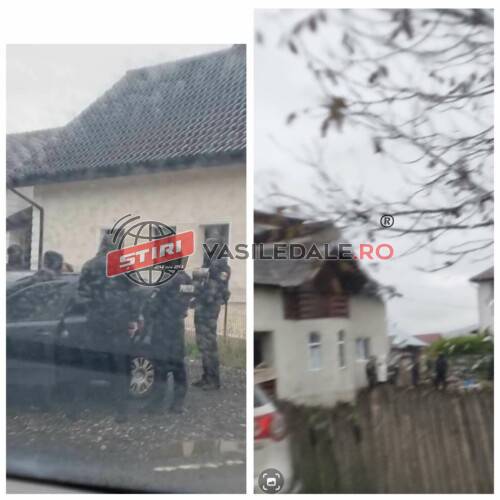 EXCLUSIV: Rețea internațională de trafic de droguri la PETROVA – 7 suspecți, maramureșeni și ucraineni, săltați de mascați