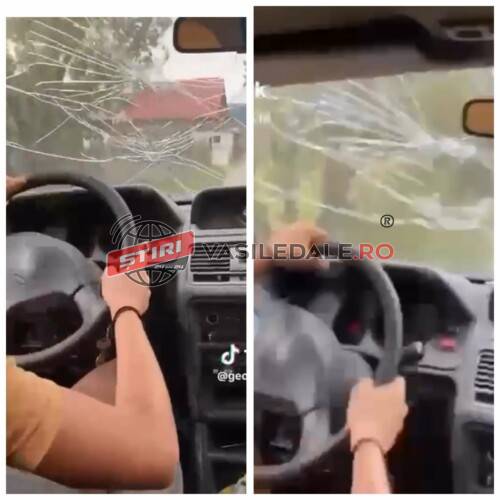 VIDEO: Un minor s-a postat pe rețelele de socializare în timp ce conducea fără permis o mașină de teren neînmatriculată. Are dosar penal