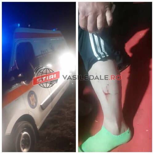 O haită de câini maidanezi terorizează un cartier din Baia Mare. Un bărbat a fost atacat de unul dintre animale şi salvat de vecini (VIDEO) O haită de câini maidanezi terorizează un cartier din Baia Mare. Un bărbat a fost atacat de unul dintre animale şi salvat de vecini (VIDEO)