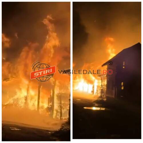 462547565_561876716380699_394515065797198850_n (1)