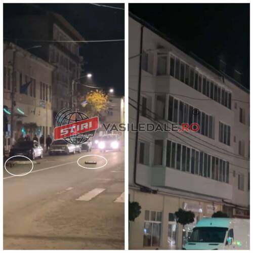 462553386_382305108290672_173080559733819396_n