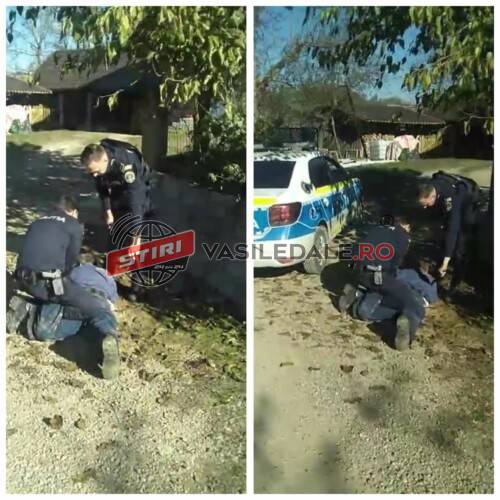 EXCLUSIVITATE: Localnic cu probleme medicale încătușat la Vălenii de Călinești. Doi copii au văzut totul și au rămas cu mama tot cu probleme medicale