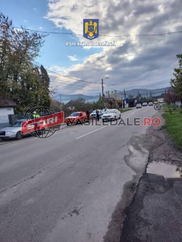 Trei percheziții la Sighet și Săpânța la firmele care exploatau masă lemnoasă dar și agregate minerale