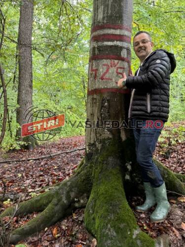 EXCLUSIV: ACUZE EXTREM DE GRAVE – Plângeri penale pe numele a 11 persoane din Direcția Silvică Maramureș, Garda Forestieră Cluj sau ICAS Oradea