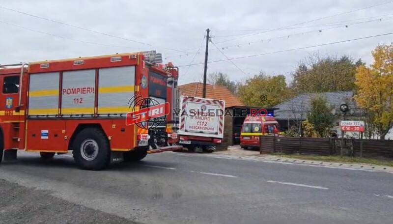 VIDEO: Persoană căzută din copac la Bușag. Intervin pompierii
