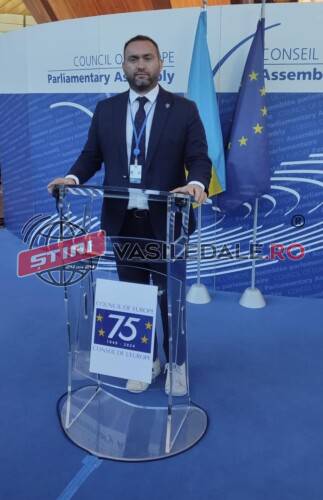 Legiferare indirectă a prostituției în Europa, blocată prin intervenția senatorului Cristian Niculescu Țâgârlaș