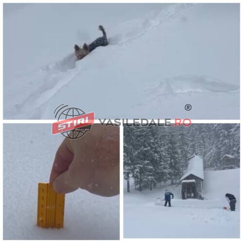IARNĂ ADEVĂRATĂ: 30 cm de zăpadă la Cavnic. Imagini video senzaționale din zona pârtiilor de schi. Primăria Baia Mare amendată cu 3.400 lei pentru că nu a deszăpezit orașul