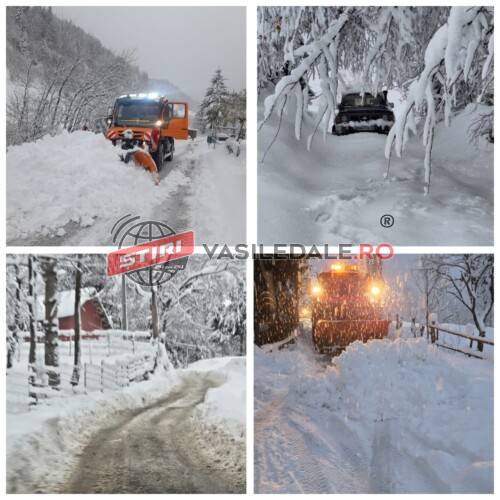 EXCLUSIV VIDEO: În ultimele 48 de ore borșenii s-au luptat la propriu cu nămeții. Primăria a deszăpezit 90% din cei 320 km de străzi ale orașului