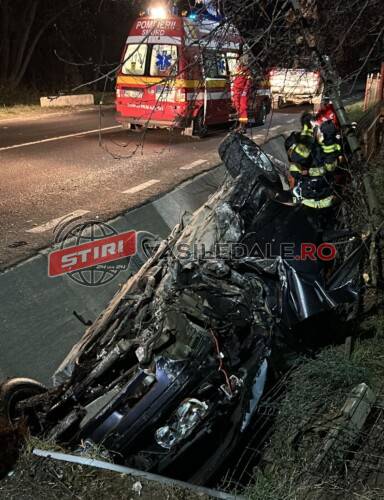 EXCLUSIV FOTO: Un tânăr pompier s-a răsturnat cu mașia într-un șanț la Vișeu de Sus – actualizare