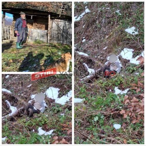 Nea Nelu, „nebunul lui Dumnezeu” din munţii Ţibleş a fost găsit decedat într-o râpă (foto) – ACTUAIZARE