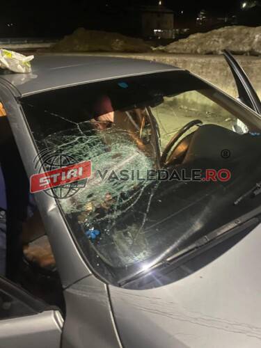 EXCLUSIV – Incident grav în Baia Borșa: Atacați cu toporul, drum blocat și autovehicul distrus (foto)