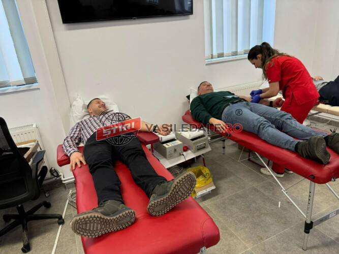 5f790600-e519-487a-8a99-4893dafedffe